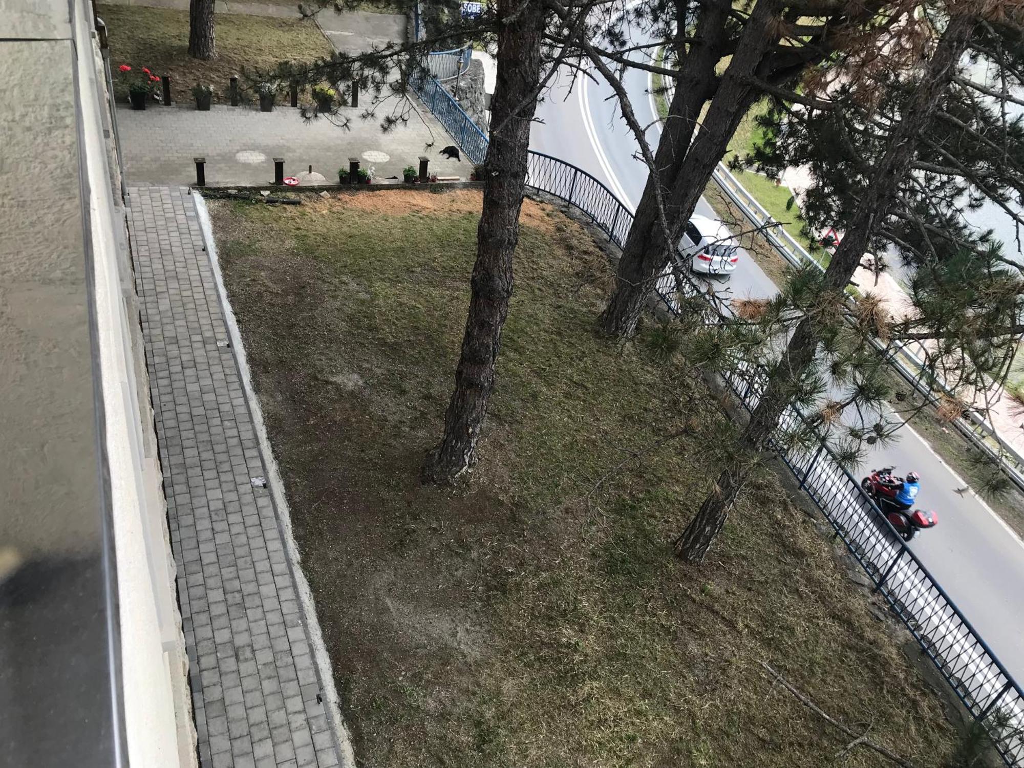 Apartament Čačak Zewnętrze zdjęcie